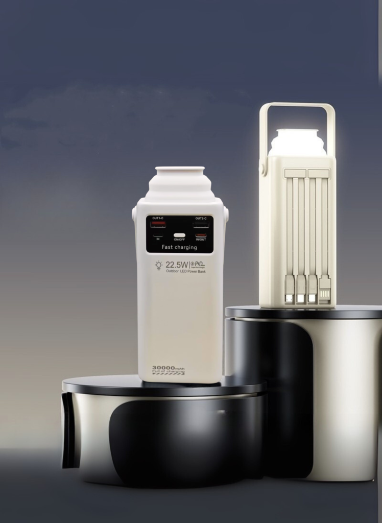 Levino 30000mAh Power Bank