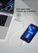 50W Dual USB-C Fast Charger Plug