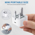 50W Dual USB-C Fast Charger Plug