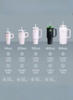 Stanley Quencher H2.0 FlowState Tumbler