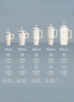 Stanley Quencher H2.0 FlowState Tumbler
